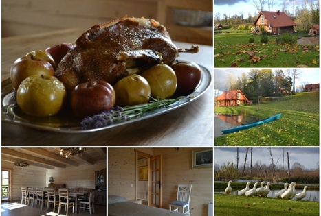 Sodyba „Širvynė“