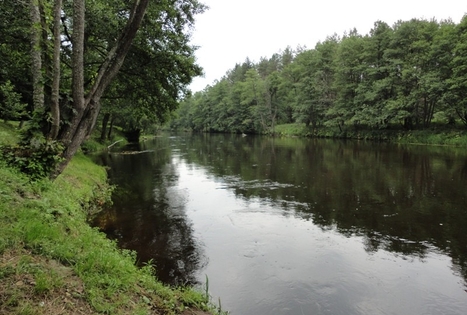 „Rodukos sodyba“