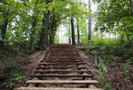 „Rodukos sodyba“