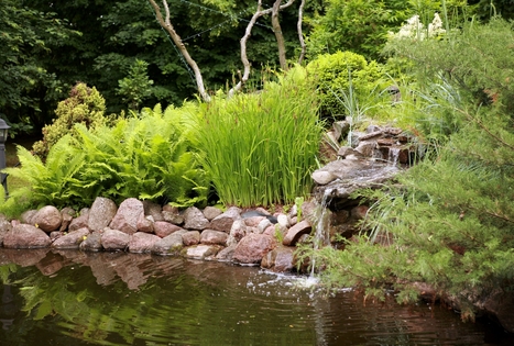 Sodyba „Pasagynė“