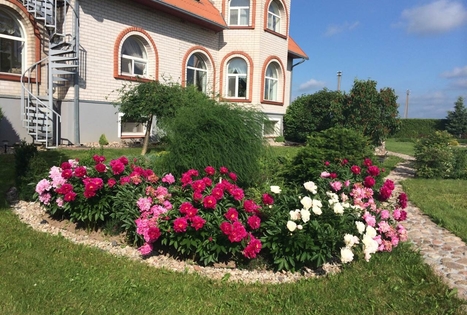 Žilių šeimos agroturizmas