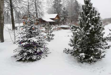 Sodyba „Raudonkalnis“