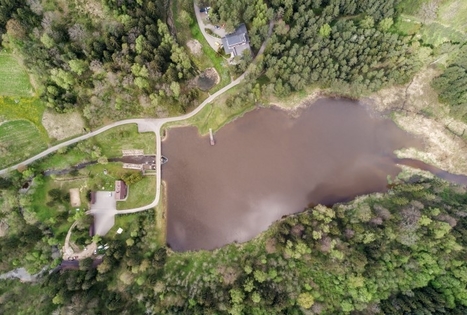 Sodyba „Kirkšnovė“