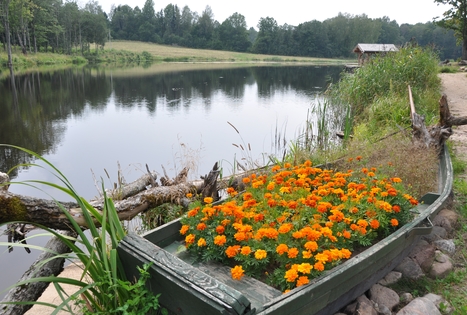 Sodyba „Angelų malūnas“