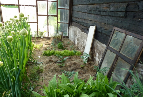 Kemperių stovyklavietė „Pajiešmeniai“