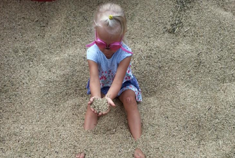 Dvaro sodyba „Provansalis“