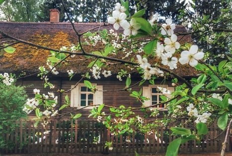 Kleboniškių kaimo buities muziejus