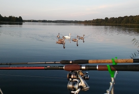 „Įlankos sodyba“