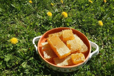 Sodyba „Medaus klėtelė“