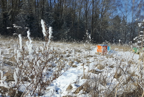 Kemperių stovyklavietė „Pajiešmeniai“