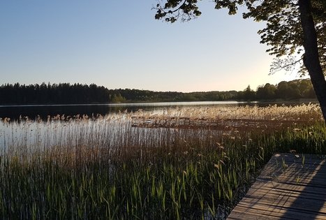 Sodyba „Pas tėvukus“