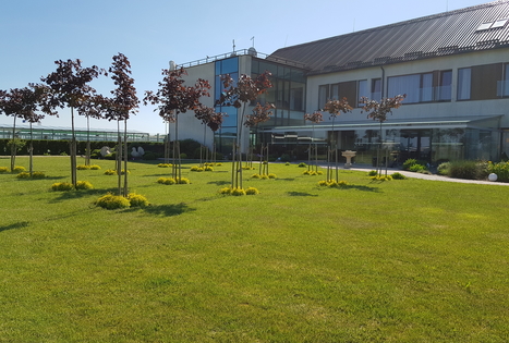 Rezidencija „Grįžulo ratai“