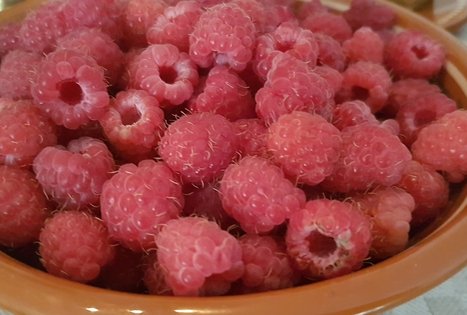 Žemaičių tradicijų puoselėjimas