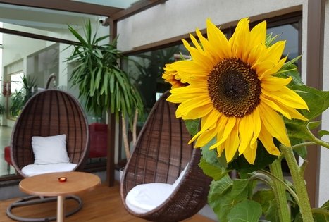 Rezidencija „Grįžulo ratai“