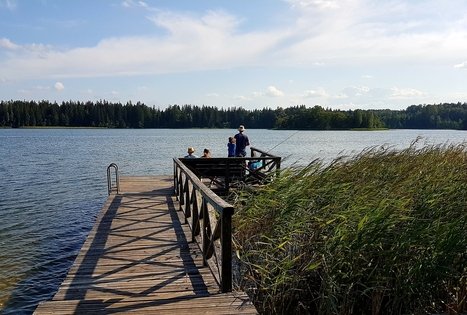 Sodyba „Pas tėvukus“