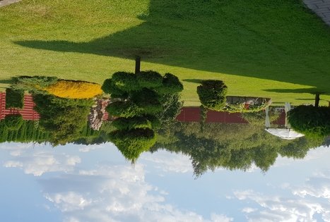 Ginto Vasiliausko sodyba „2 broliai“