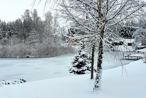 Nijolės ir Henriko Zubrickų sodyba