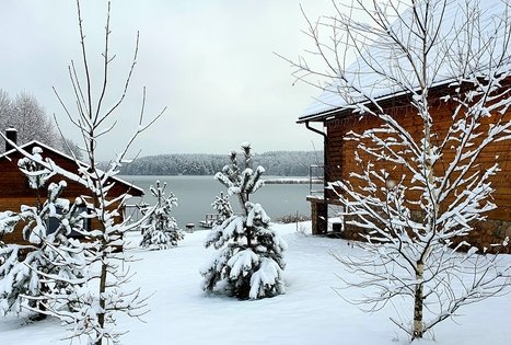 Nijolės ir Henriko Zubrickų sodyba