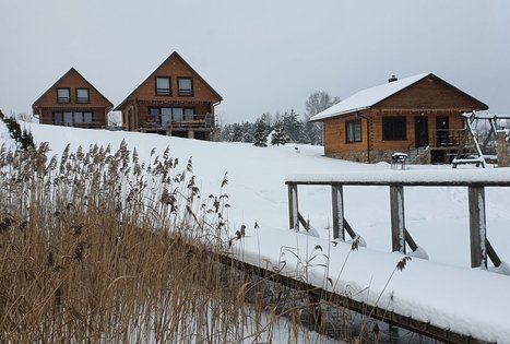Nijolės ir Henriko Zubrickų sodyba