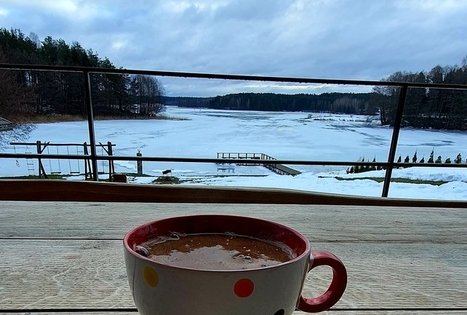 Nijolės ir Henriko Zubrickų sodyba