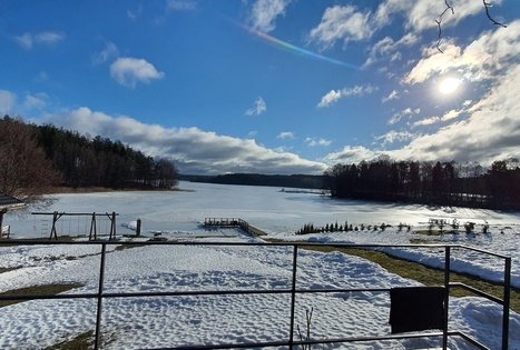 Nijolės ir Henriko Zubrickų sodyba