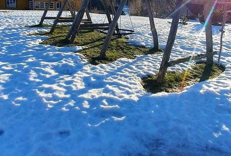 Nijolės ir Henriko Zubrickų sodyba