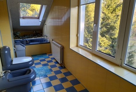 Alės Podėnienės sodyba