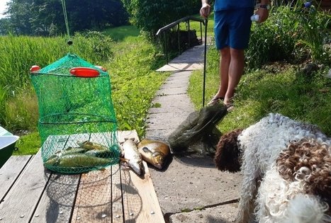 Sodyba „Gintarinė rasa“