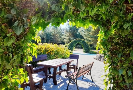 Alės Podėnienės sodyba