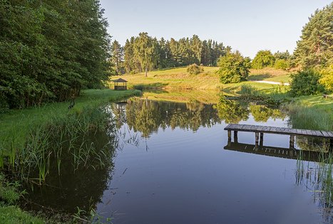 Sodyba „Audros vienkiemis“