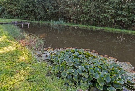 Sodyba „Audros vienkiemis“