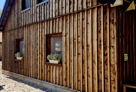 Atostogų namai „Elzės liepa“