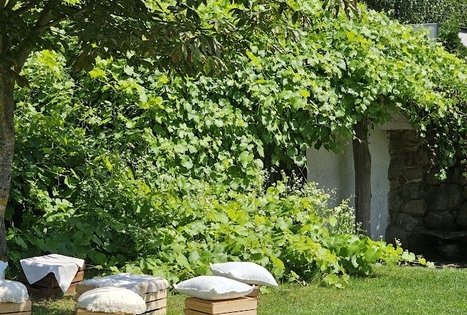 „L. ir S. Sadauskų sodyba“