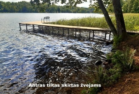 Sodyba „Gintarinė rasa“