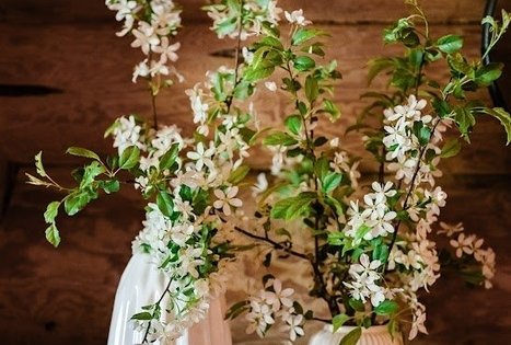 „L. ir S. Sadauskų sodyba“