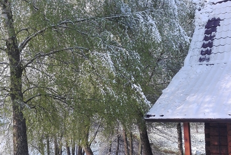 Sodyba „Kazokinė“