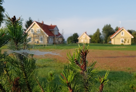 „Panemunio“ sodyba