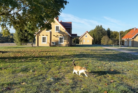 „Panemunio“ sodyba