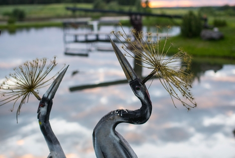 Broniaus Juzelskio sodyba