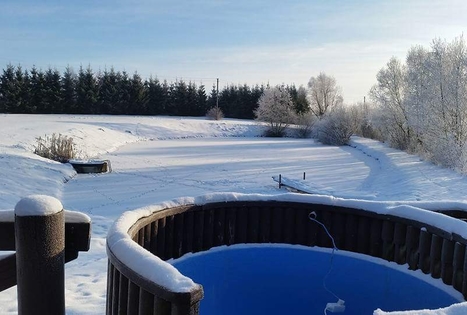 Ginto Vasiliausko sodyba „2 broliai“