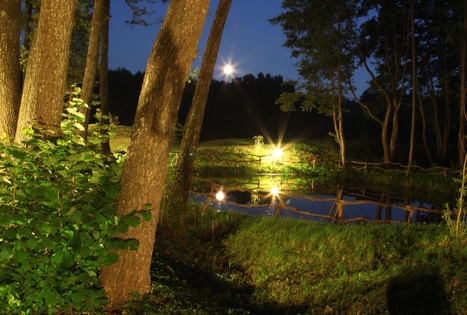 „Turauskų sodyba“