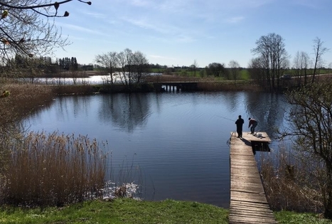 Sodyba „Panekelpių kaimas“