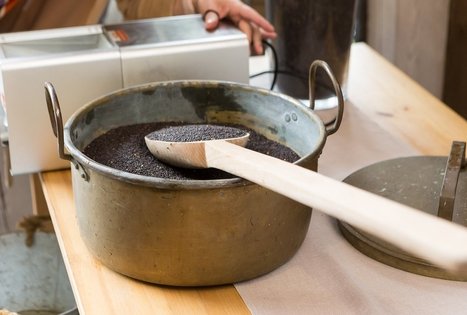 Panekelpių kaimo ūkis