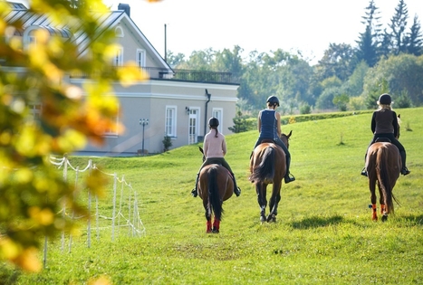 Dvaro sodyba „Provansalis“