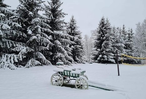 Sodyba „Narūnas“