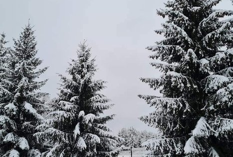 Sodyba „Narūnas“