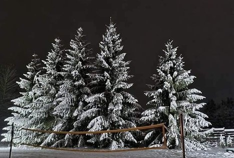 Sodyba „Narūnas“