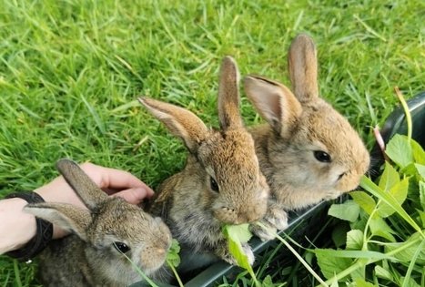 Dienos išvyka moksleiviams