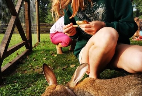 Dienos išvyka moksleiviams