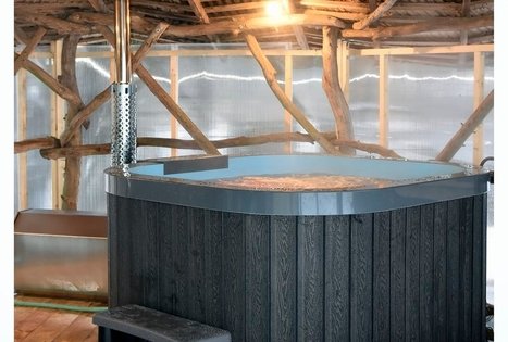 Petrutės Račkauskienės sodyba